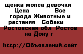 щенки мопса девочки › Цена ­ 25 000 - Все города Животные и растения » Собаки   . Ростовская обл.,Ростов-на-Дону г.